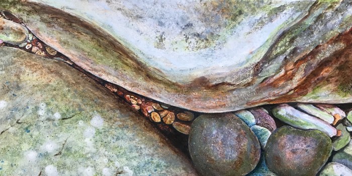 F3F9F584-CB6C-4226-B90F-0DAD93270660